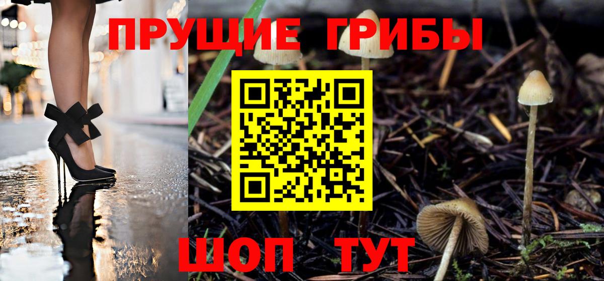 цена наркотик  Галлюциногенные грибы GOLDEN TEACHER  Вход с VPN  Боровичи  Псилоцибиновые грибы Cubensis 