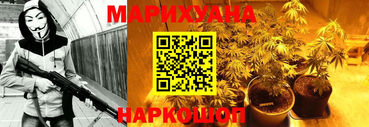 Бошки марихуана VHQ  Вход с VPN  Шишки марихуана Bruce Banner  Боровичи  Каннабис Amnesia  Каннабис White Widow 